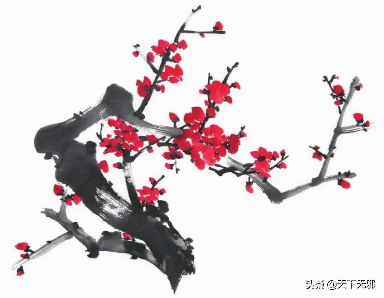 中国科学家对李政道的评价,中国科学史李申书评