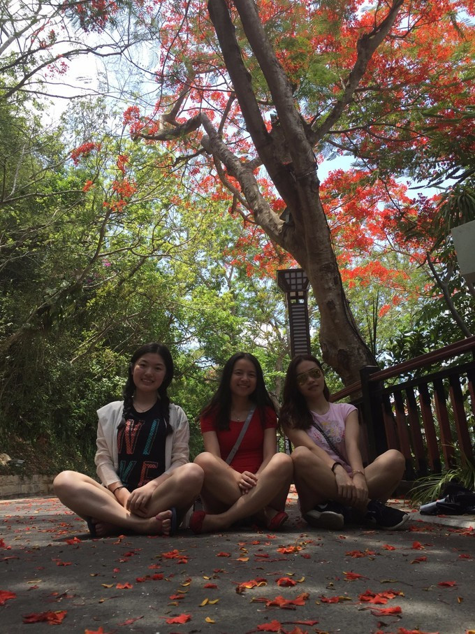 海南三亚旅游攻略三日游,海南三亚三日自由游