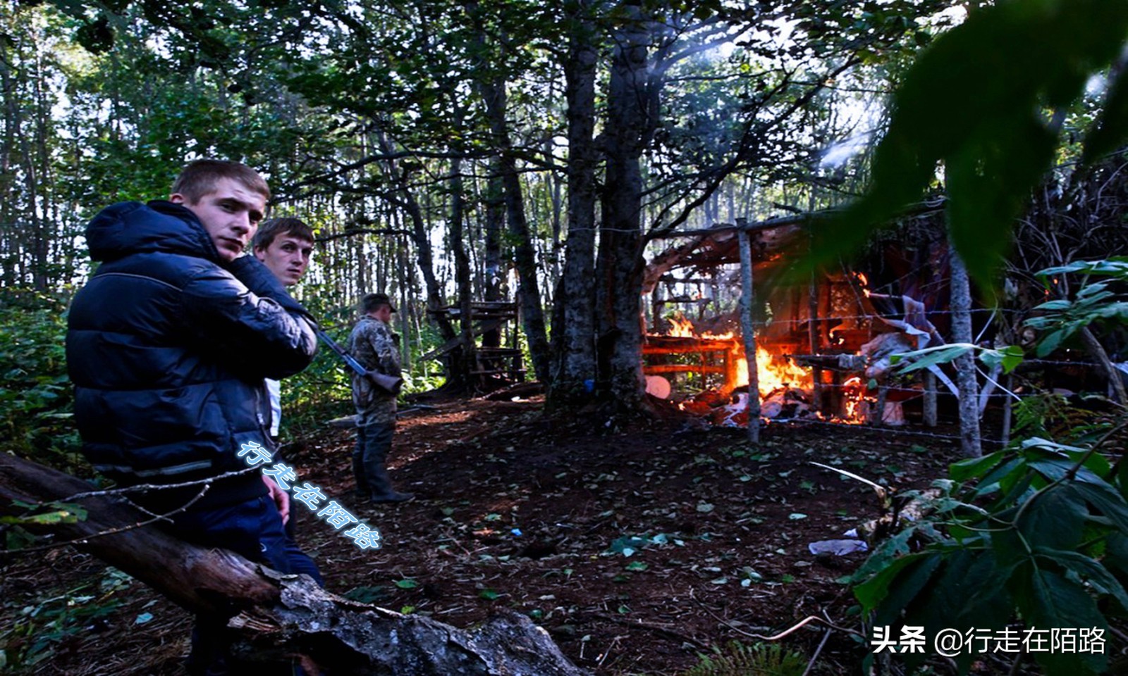 海参崴的渔业资源：挨枪子也要非法捕捞，一次利润数万元