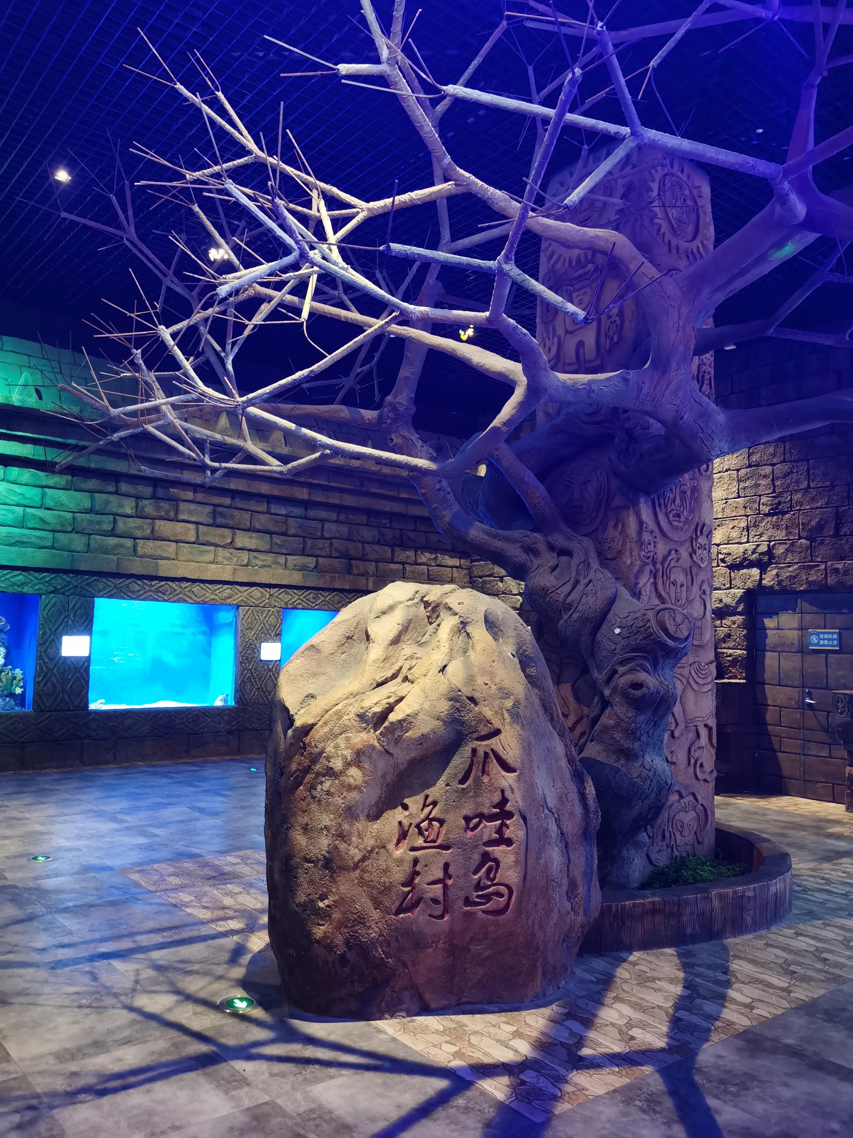 华夏文旅5d飞越丝路观看需要多久,西安华夏文旅丝路飞跃