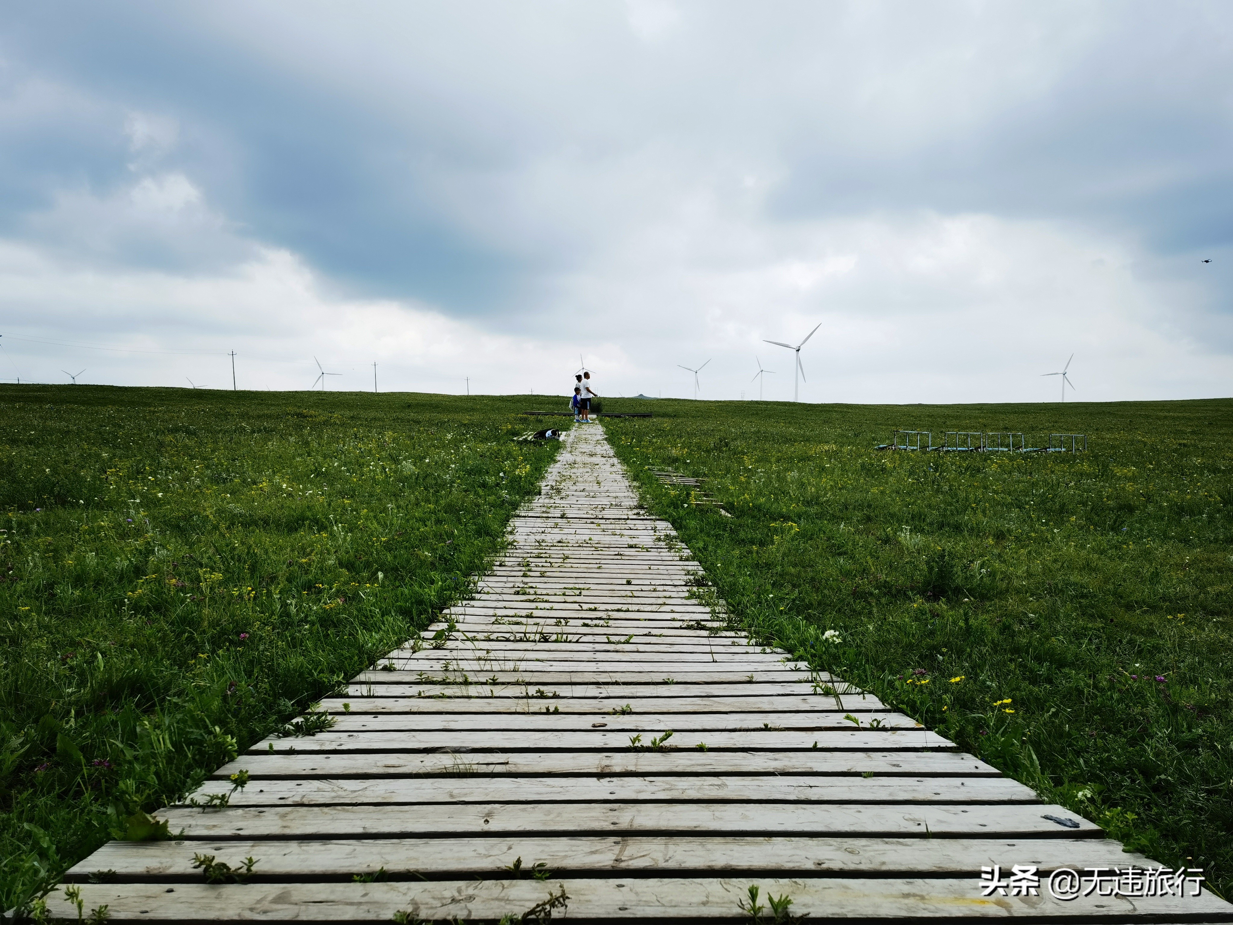 辉腾锡勒草原黄花沟游玩时长,辉腾锡勒草原黄花沟见闻