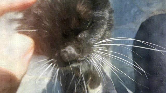 拼头条吗？好姐妹就要一起上啊