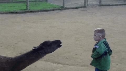 科学防疫手机消毒很有必要,疫情期间怎么给手机杀菌消毒