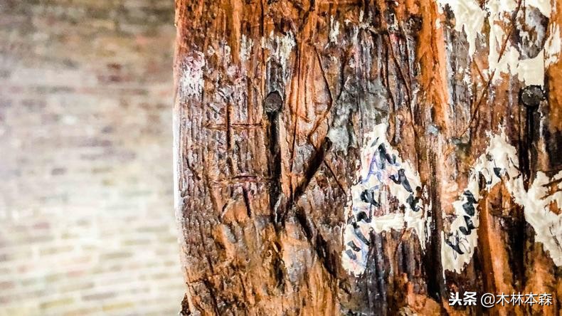 加拿大多伦多生活日记,加拿大多伦多留学生活纪实