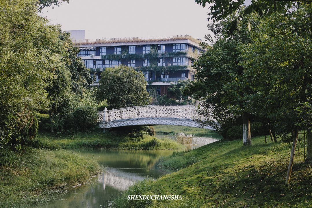 长沙旅游攻略必玩的十大景点介绍,长沙适合秋季打卡的景点