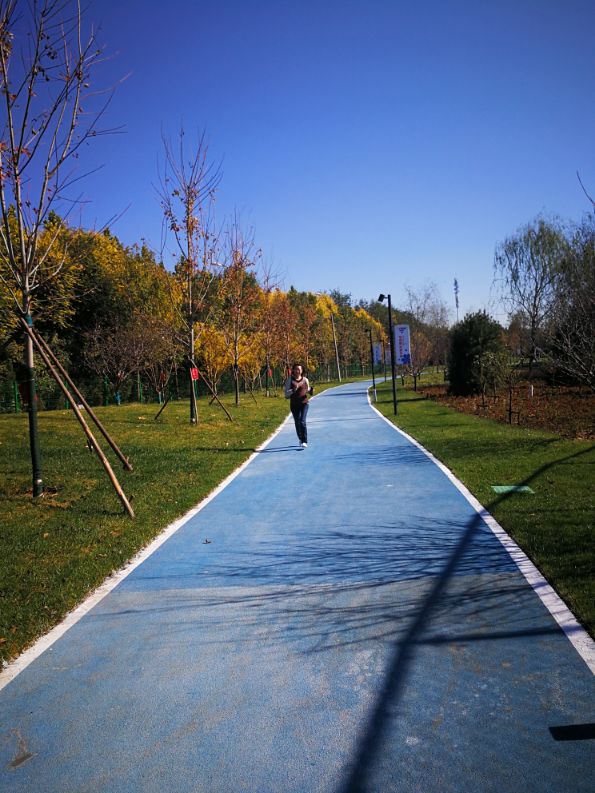 廊坊三叶公园附近,廊坊三叶公园室内游乐场门票