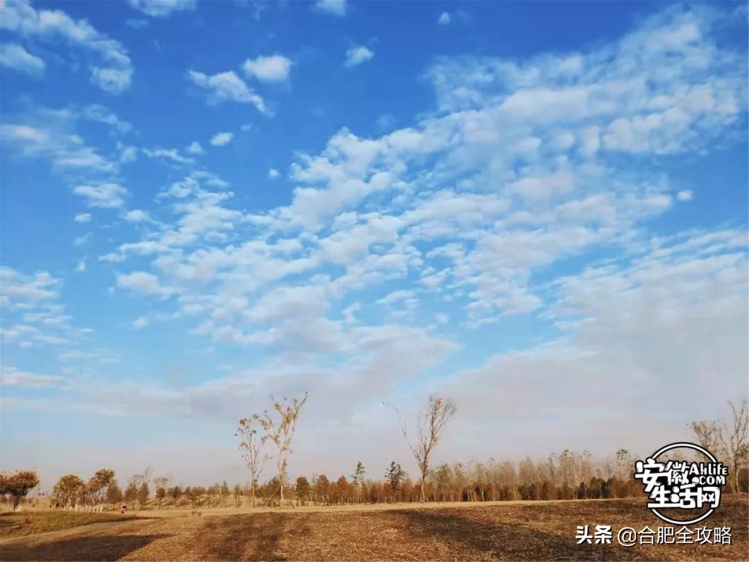 “合肥蓝”频频刷屏朋友圈！背后竟隐藏一个国家级团队...