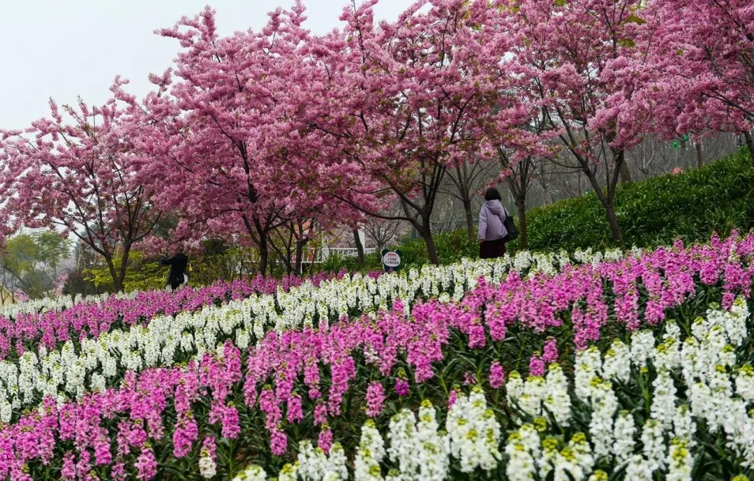 5月18日成都免费游博物馆怎么预约,成都周边游玩哪些地方需要预约的