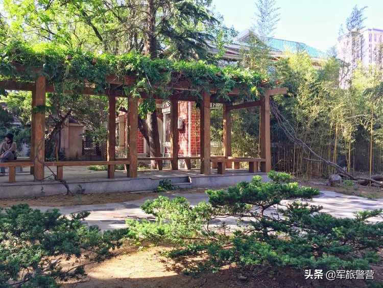 大连市八七疗养院的故事,大连八七疗养院