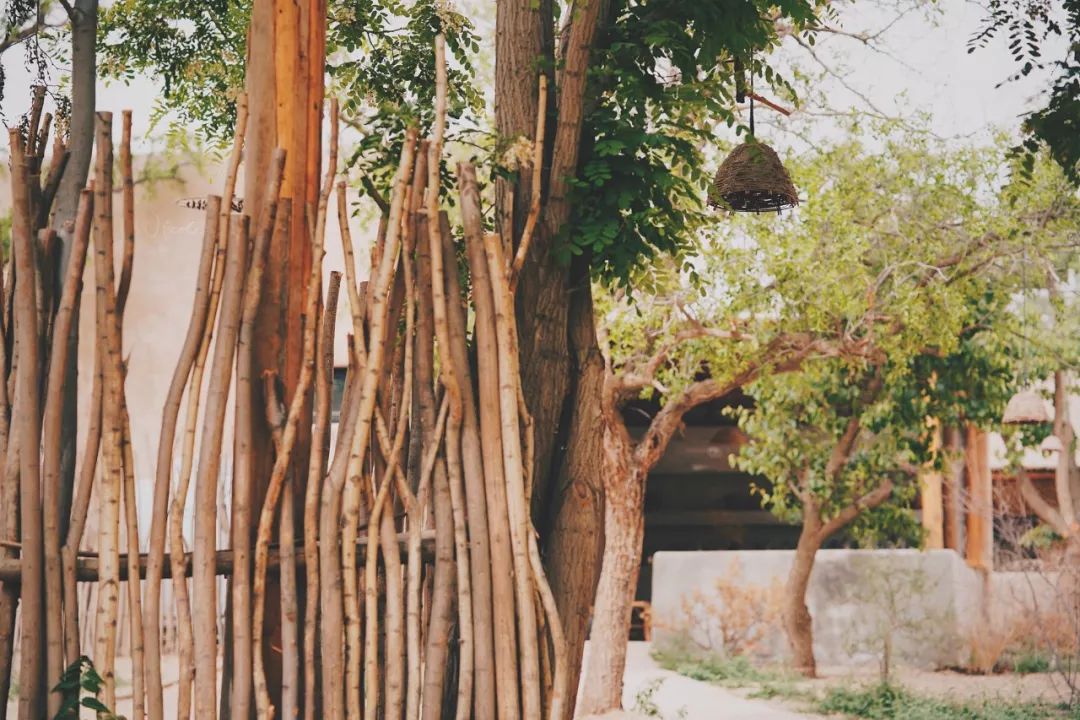 可盐可甜是哪首歌的歌词,可盐可甜出自哪