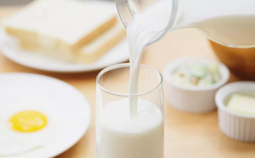 小狗拉暗红色稀水,小狗吐黄绿色的沫不吃东西