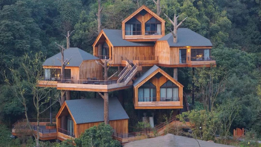 浪漫树屋、奇妙酒店、恒温水乐园...去江浙沪Top酒店跨个30℃的年