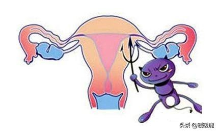 孕妇要做的产检项目都有哪些,20—24周孕妇做什么检查