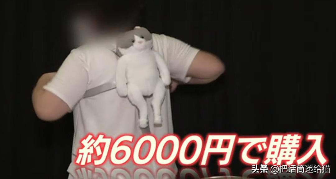日本网红猫包,日本网红猫咪包