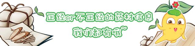 今年地黄的价格与行情,未来三年地黄走势