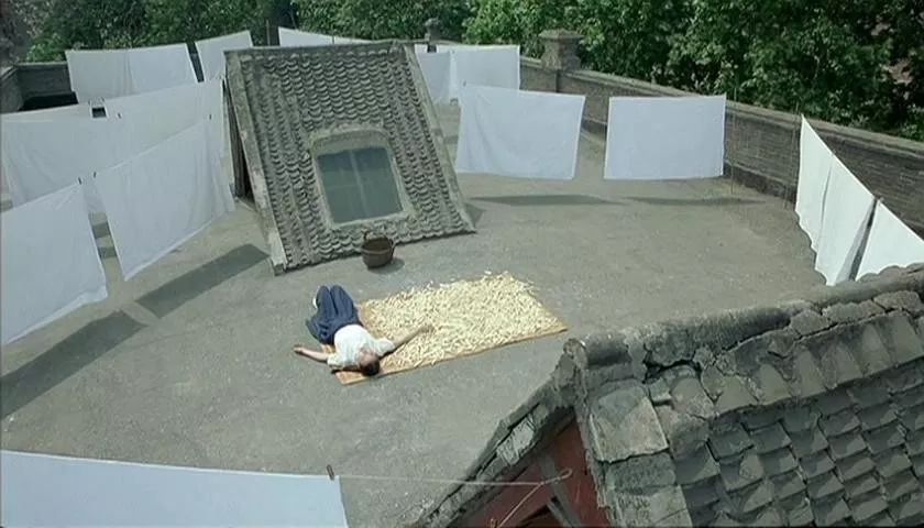 地位与张艺谋不相上下,他第一次做导演,扯掉了理想主义的遮羞布