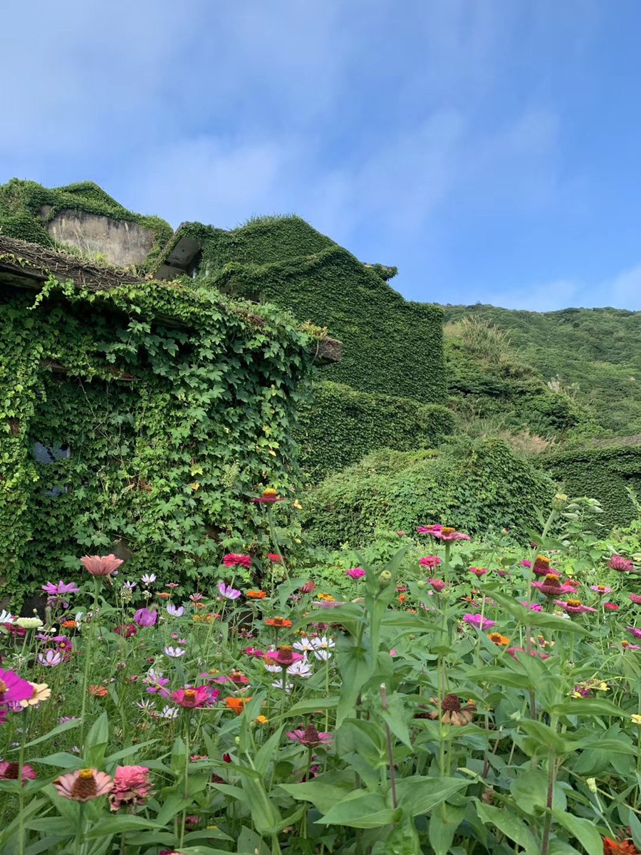 枸杞岛海岛旅游,美丽的枸杞岛之旅