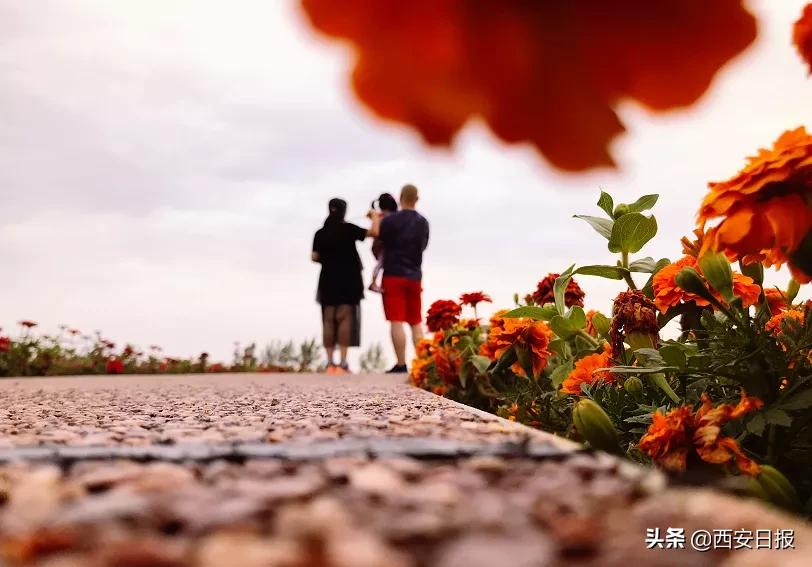 西安市有哪些公园免费开放,西安免费儿童玩的公园