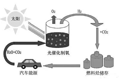 【酸甜科技史】大自然中的老师——仿生学的前世今生
