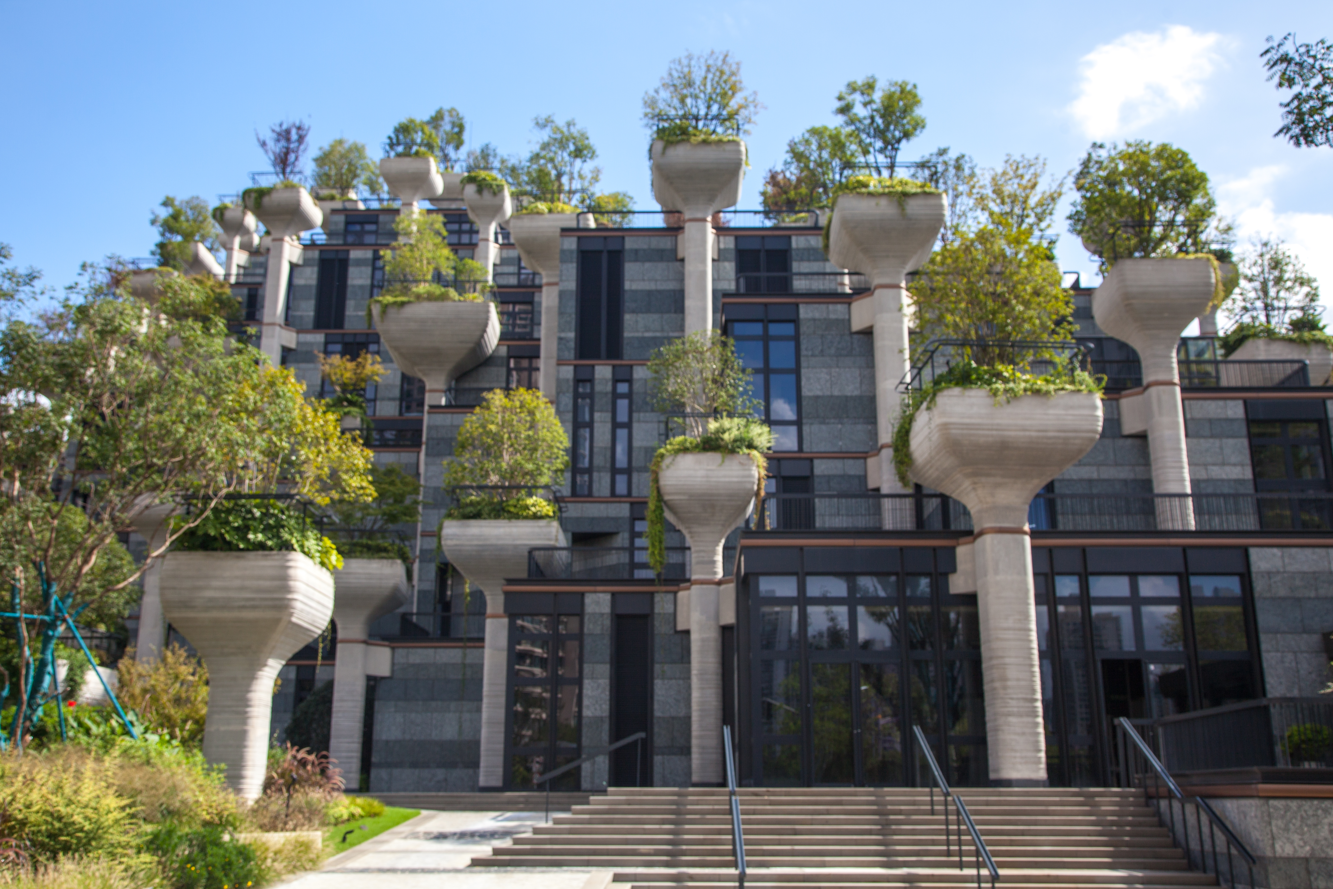 上海地标建筑1000棵树,上海天安千树谁开发的