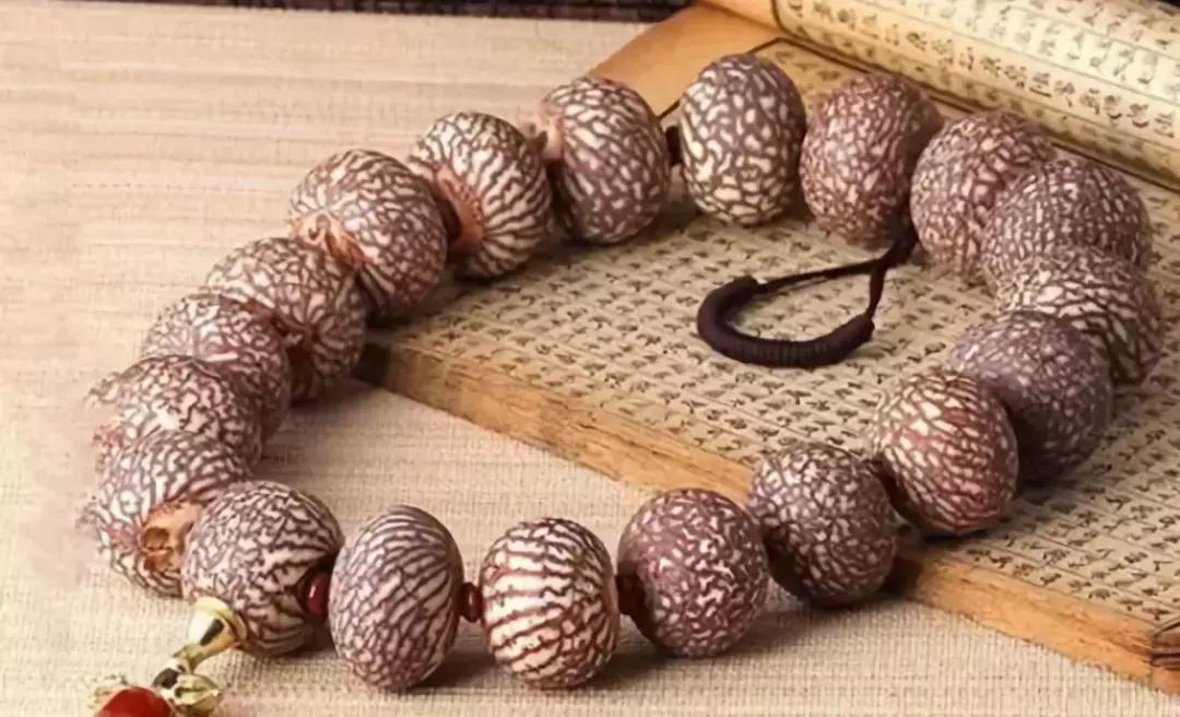 所有菩提手串大展示,菩提手串大全视频