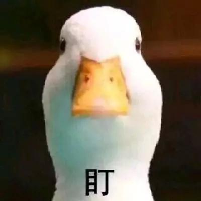 这是挖坑埋自己的纯洁男女关系吗？