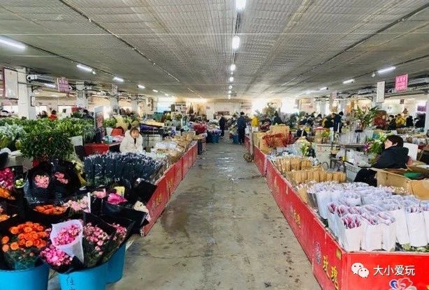 过年必逛花卉市场,北京值得去的花卉市场