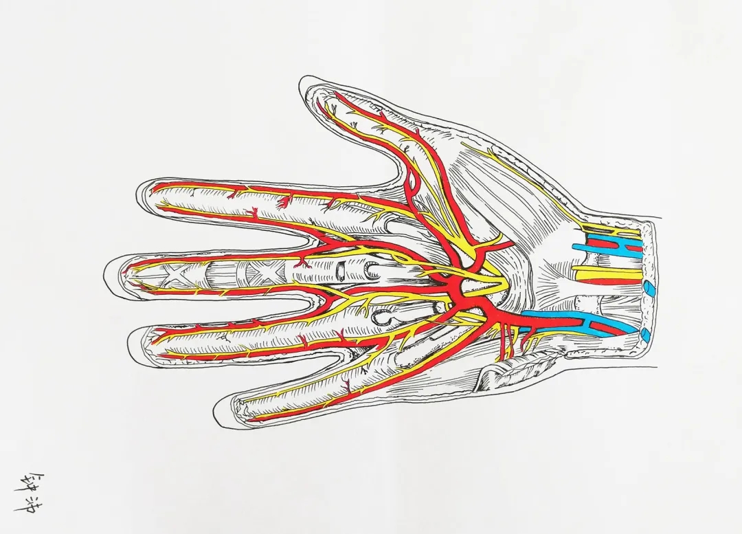 医学生学习打卡做题,医学生学习成果检验视频