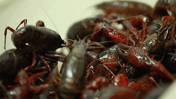 武汉头牌虾庄,武汉虾庄折扣