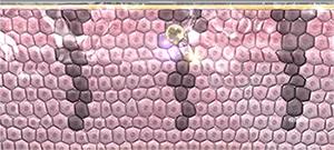 祛脸上斑点色斑的小妙招,一个动作教你如何淡化色斑