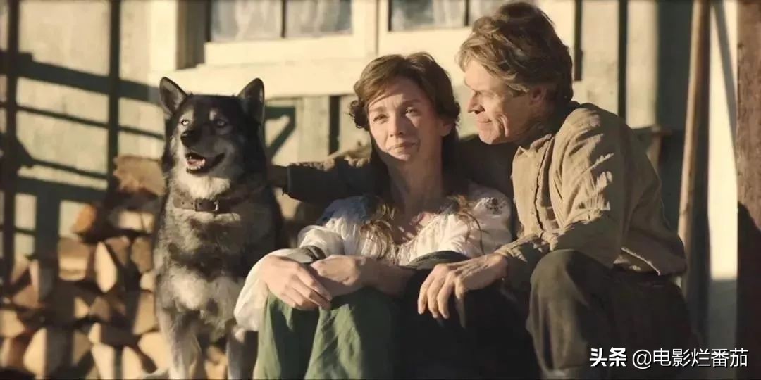 二哈多哥极限逃跑,多哥为什么跟其他哈士奇不一样