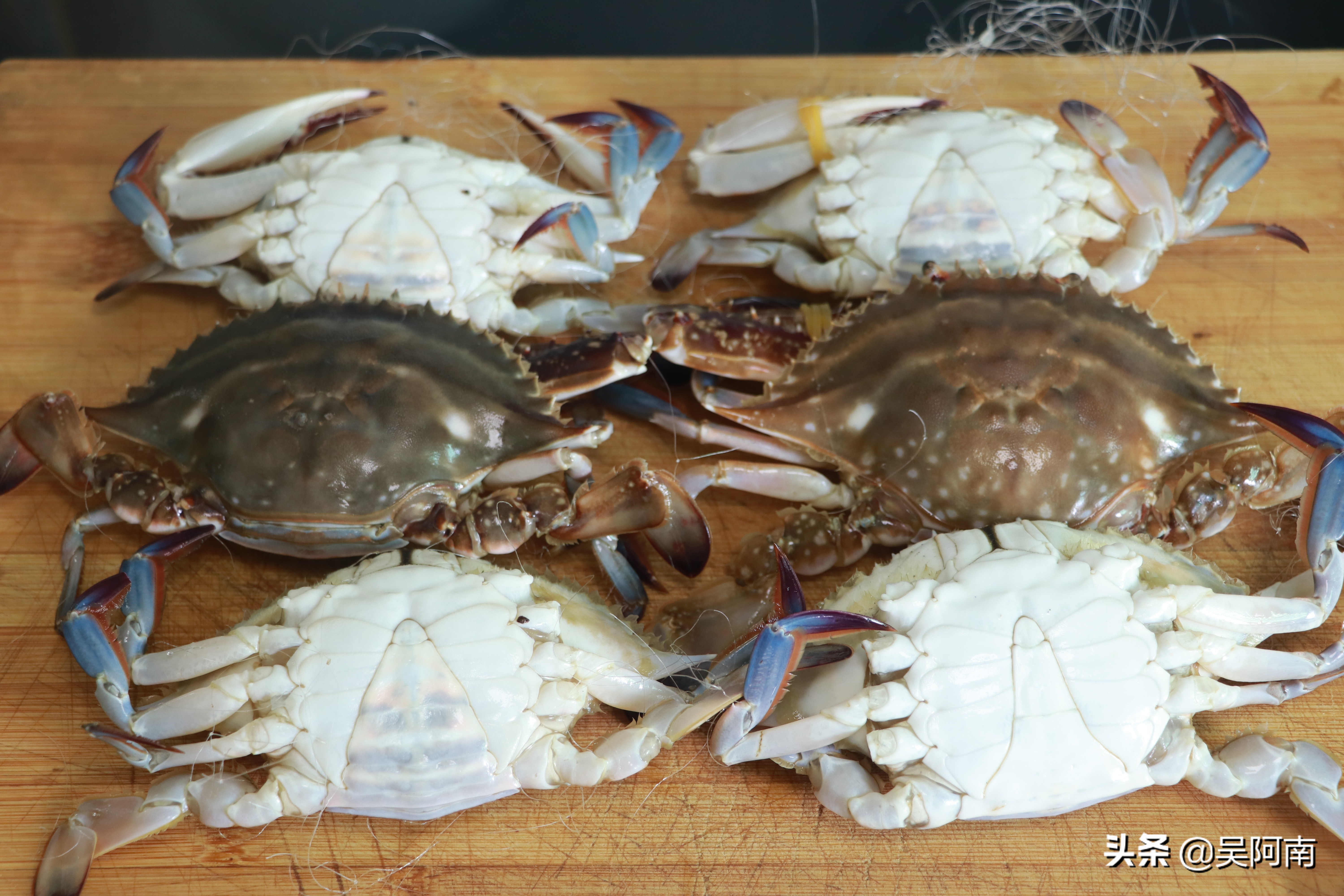 什么时候的螃蟹最肥美,教你挑选螃蟹的8个技巧