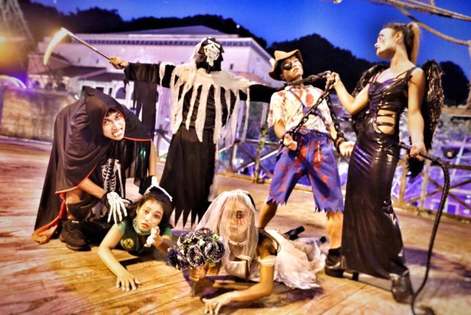 全城最大黑猫坐镇,加勒比海《海盗幽灵派对》萌趣亮相