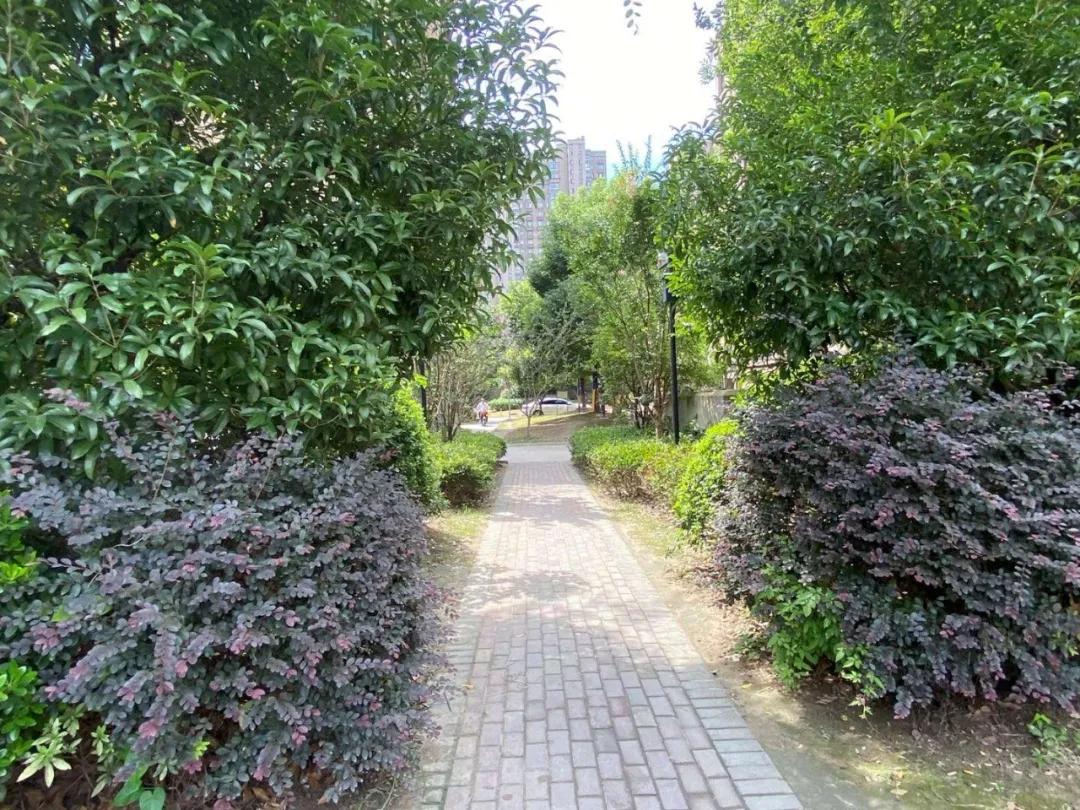 南通房价涨的最多的小区,南通开发区的安置房子值得买吗