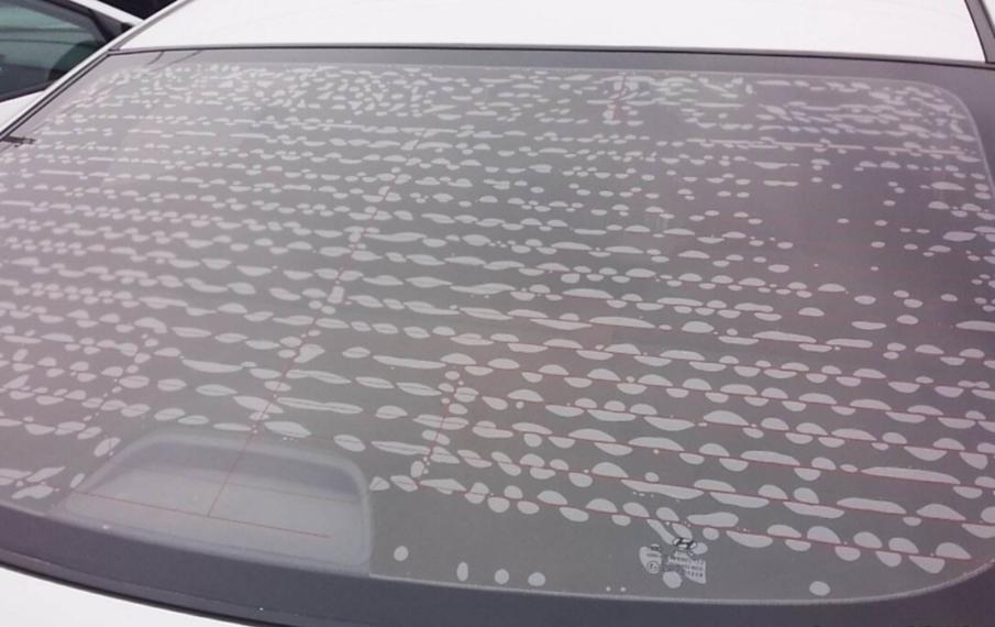 4s店送的装潢免费吗,4s店送的终身装潢该不该买