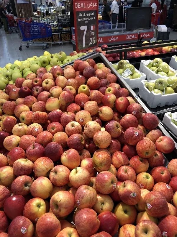 在迪拜怎么降低生活成本,迪拜一周生活成本多少钱