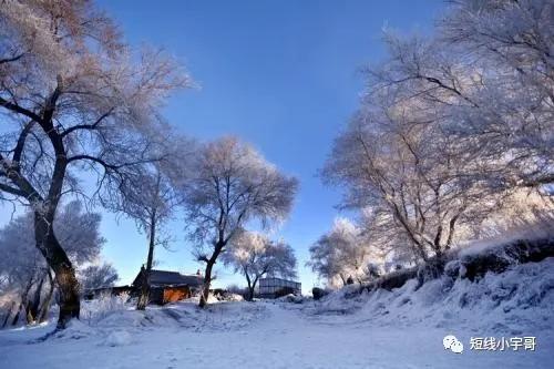 热爱生命远离香烟,怎么让烟民远离香烟