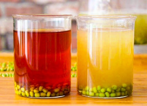 煮出颜色碧绿的绿豆汤的正确方法,怎么煮出来的绿豆汤不会变颜色