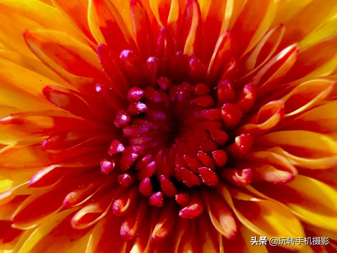 iphone拍照的小bug,iphone拍照没有满屏