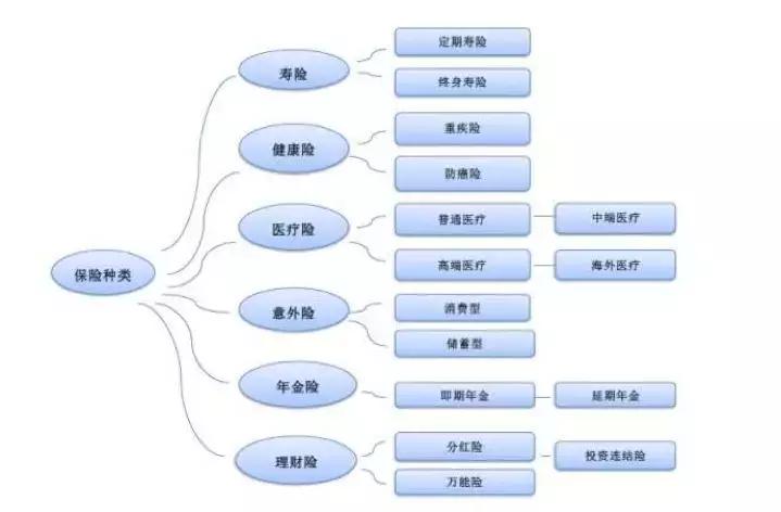 最实用的保险知识,入门小白如何选择保险
