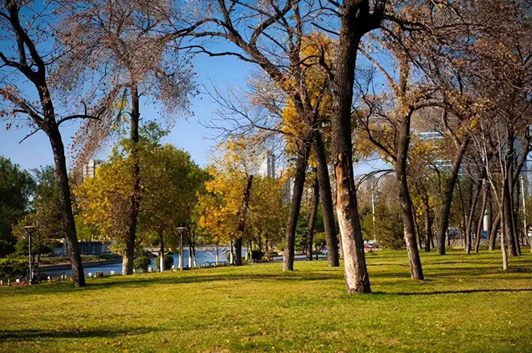 城市微更新要有大格局,城市微改造提升百姓幸福感