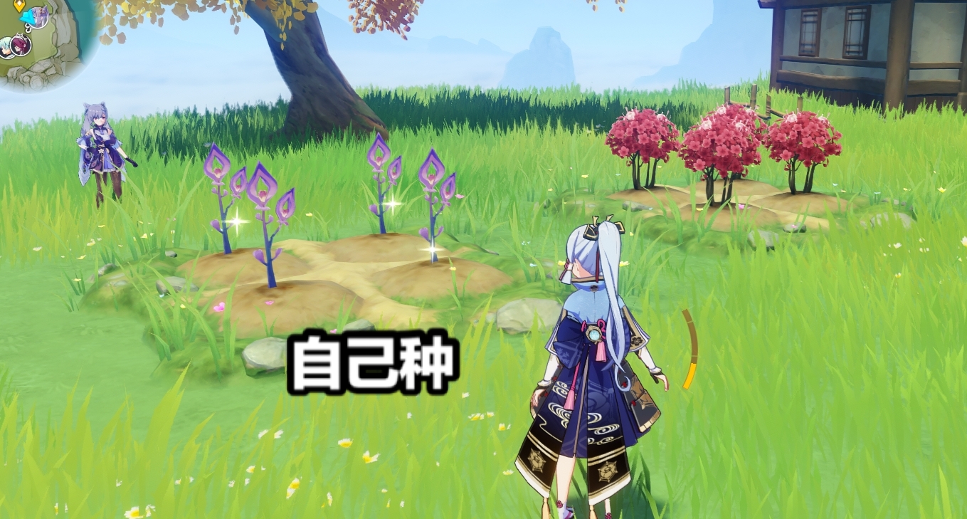 原神鸣草最快获取,原神鸣草15级能采集吗