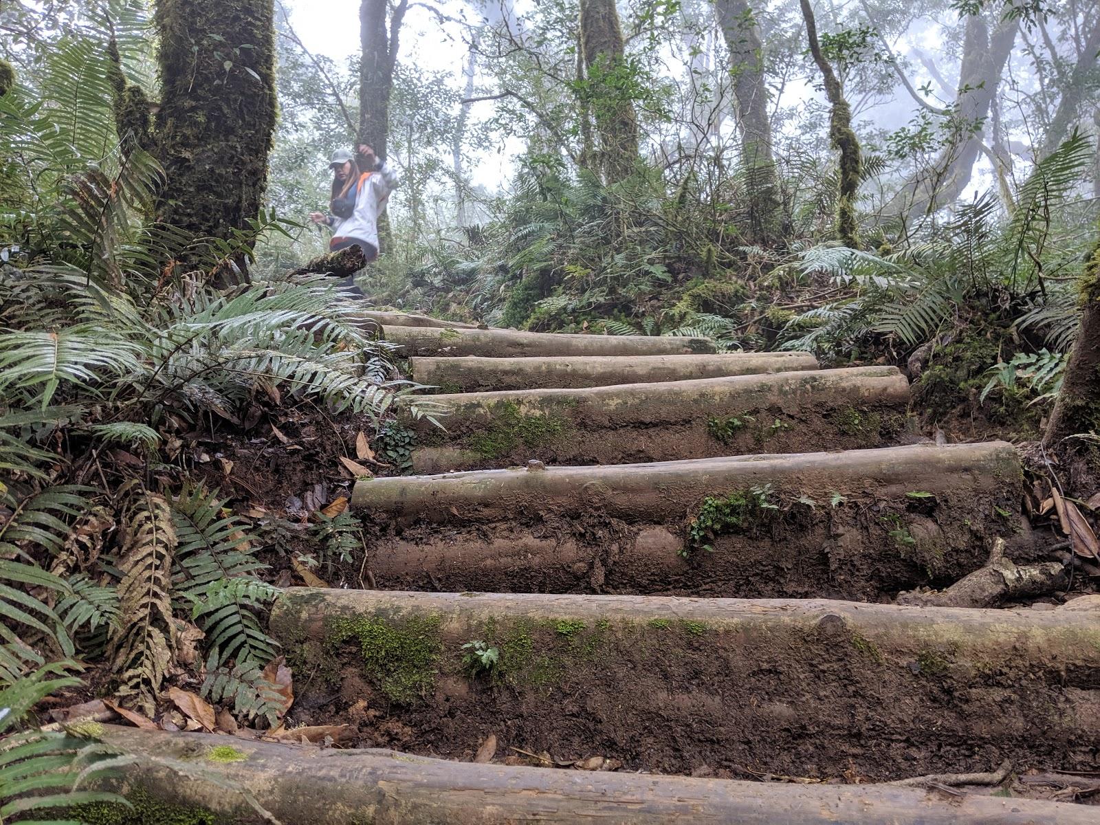 lasportiva登山鞋,lasportiva和scarpa徒步鞋哪个好