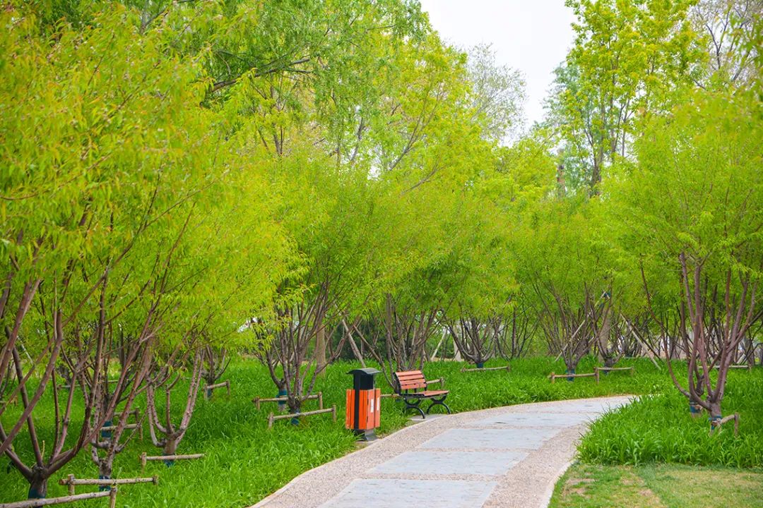 春意盎然北京五大公园,北京区级综合性公园