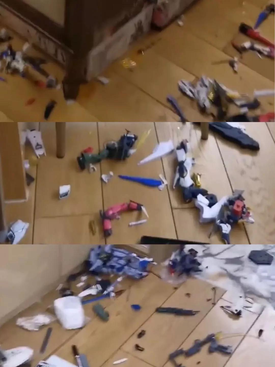 养的狗被奶奶10元卖掉了后续,养两年的狗被奶奶10元卖掉