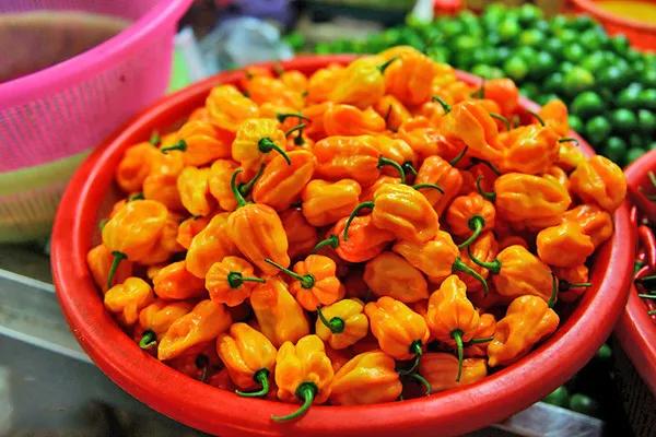 三亚有什么特产带回家送礼的,打包带走必备物品