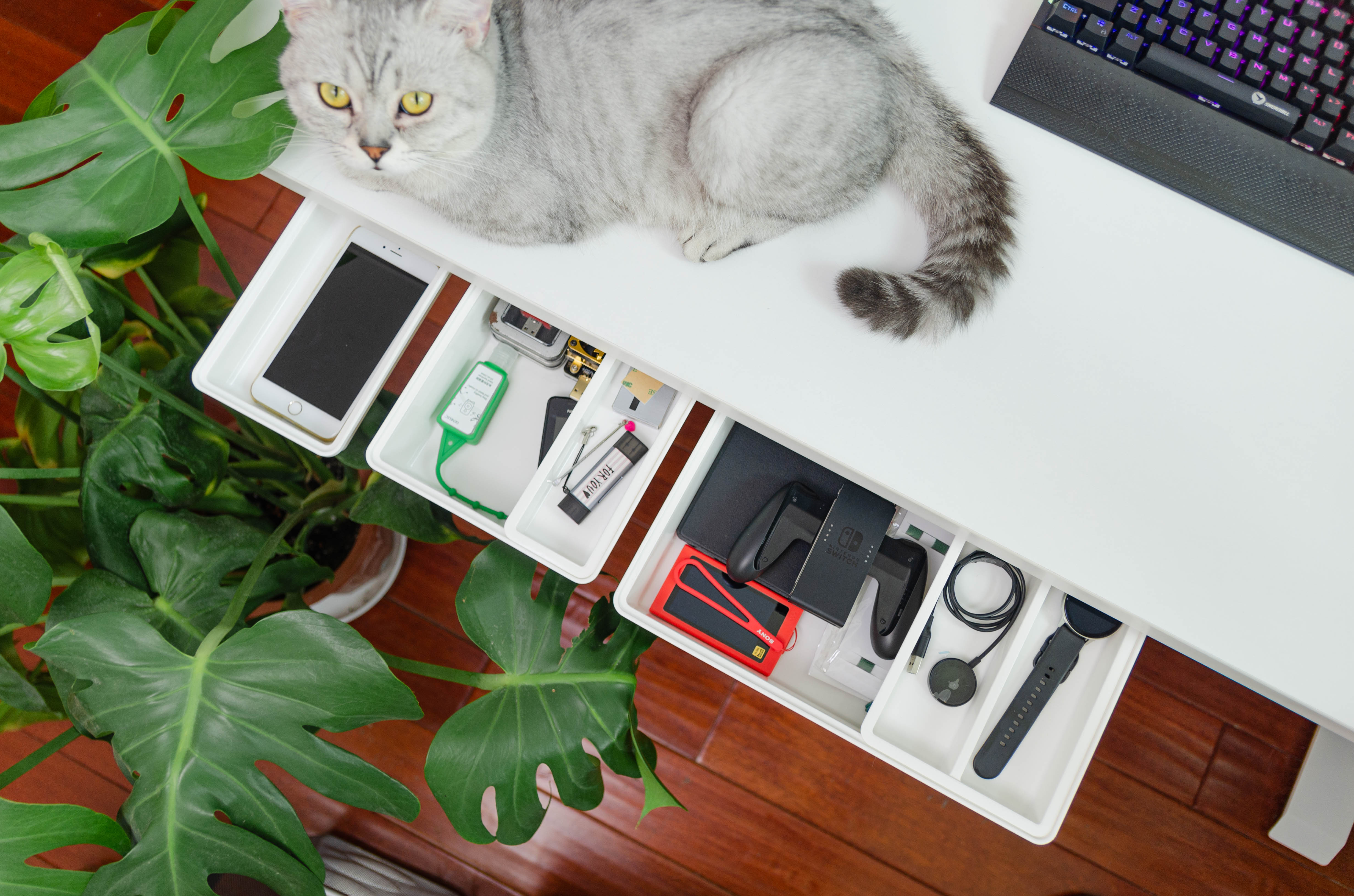 不花冤枉钱物有所值,不花冤枉钱性价比高