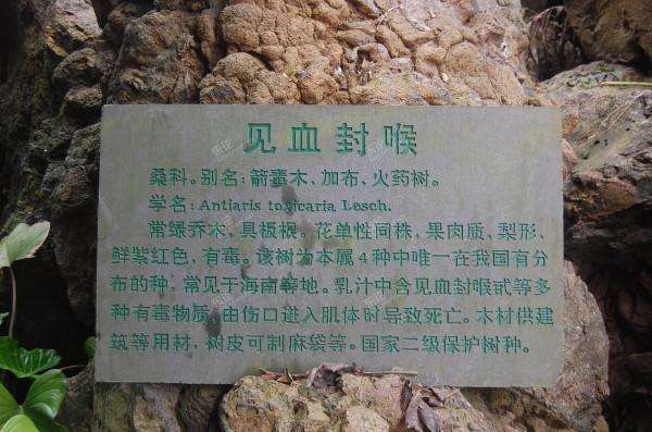 被撞肋骨骨折保险公司赔偿多少,车祸肋骨骨折保险公司赔偿案例