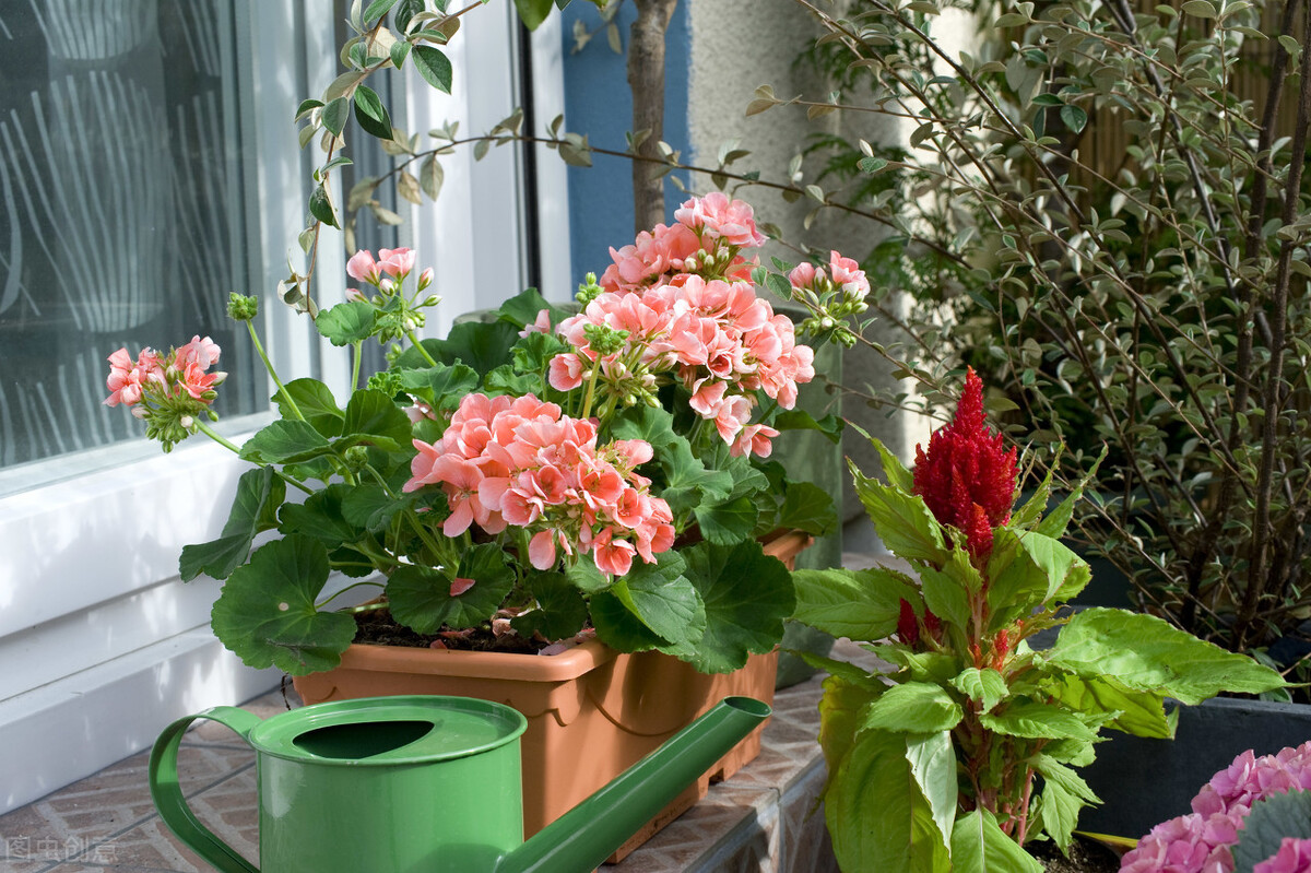 平价的“爆花小能手”：第一性价比高，第六是调色担当