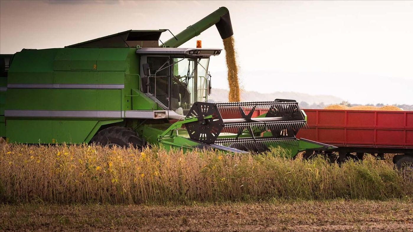 美豆海运费,美豆到中国一吨运费